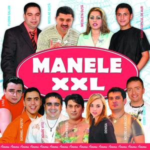Raul Railor(feat. Florin Salam)