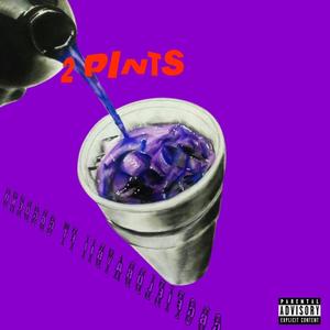 2 PINTS (feat. gbgfieldbaybii) (Explicit)