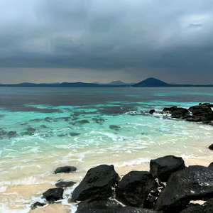 胜利之舞 (MVP结算)