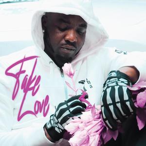 FAKE LOVE (Explicit)