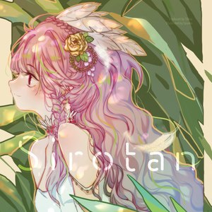 0Strelit2ia ~ 守候的鹤望兰