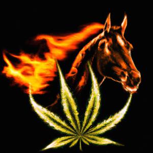 Faso bɛrenga (feat. Wenitte)