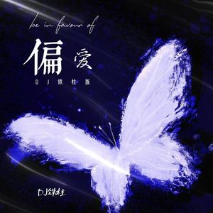 偏爱 (DJ铁柱版)