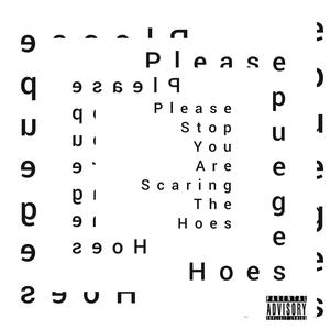 PleaseStopYouAreScaringTheHoes (Explicit)