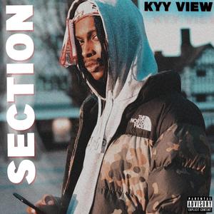 Section (Explicit)