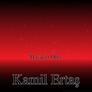 Haydan Olur