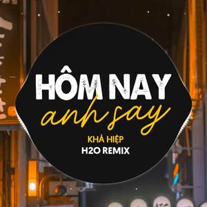 Hôm Nay Anh Say (Remix Vinahouse)