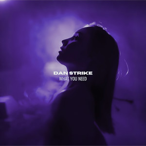 Dan Strike - What You Need
