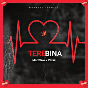 Tere bina (feat. Verse & Swak__itis)