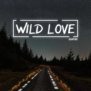 Wild Love