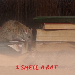 I Smell a Rat (Explicit)