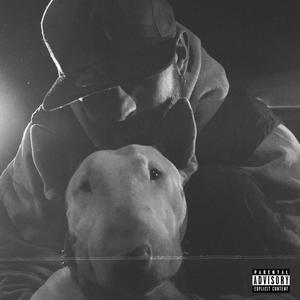 BULL TERRIER (Explicit)