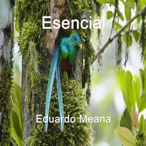 Esencial