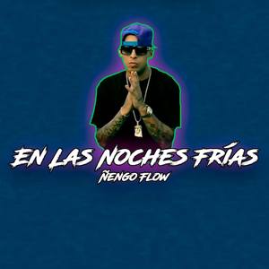 En Las Noches Frías (Ñengo Flow)