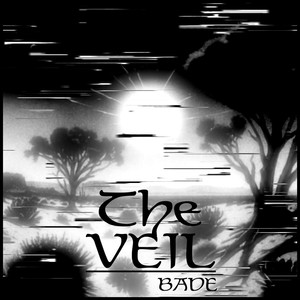 The Veil