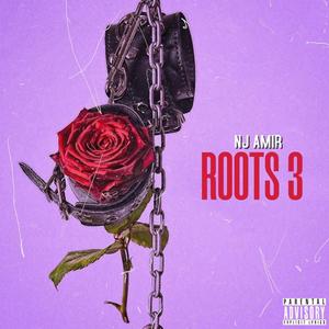 Roots 3 (Explicit)