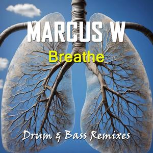 Through The Roof (feat. MC Don) (Mark Wheawill Remix)