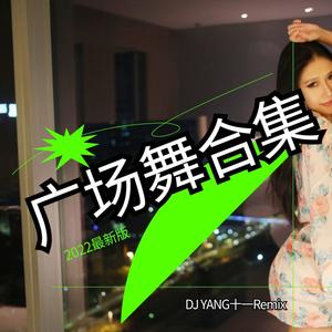情难断 (DJ广场舞版)封面