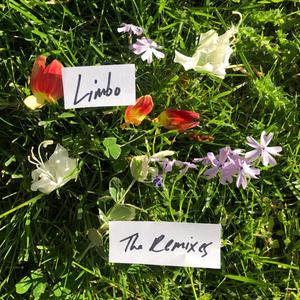 Limbo (Paramind Remix)