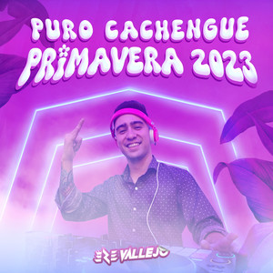 Puro Cachengue Primavera 2023 (Remix)