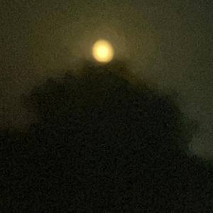 Gravity (Night version)