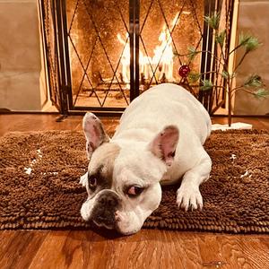 Happy Christmas (Ode to Charlie Brown)