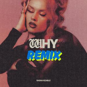 WHY (feat. Sasha Keable) (Remix)