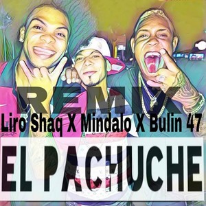 El Pachuche (Remix) [feat. Bulin 47 & Liro Shaq]