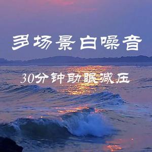 电风扇场景白噪音 减压助眠30分钟 (DJ长音频) - 舒之音封面