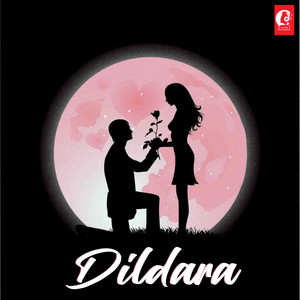 Dildara Lofi (Lofi Version)