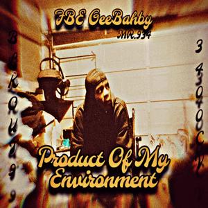 Product Of My Environment (Explicit)