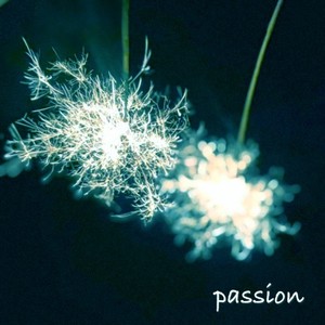 passion (feat. 片喰)