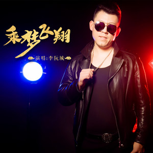 乘梦飞翔