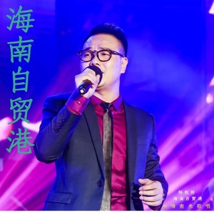 海南自贸港 (流行版)