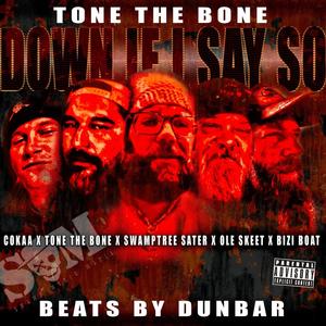 Down If I Say So (feat. Cokaa, Swamptree Sater, Ole Skeet & BiziBoat) (Explicit)