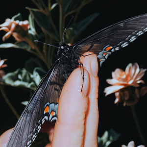 Loving You Was Easy.