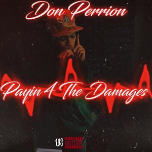 Payin' 4 the Damages (Explicit)