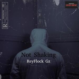 Not Shaking(feat. Mula Gzz, Bory 300, Dougie B & Kay Flocka) (Explicit)