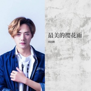 最美的樱花雨 (Remix)