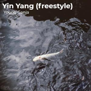 Yin Yang (Freestyle)