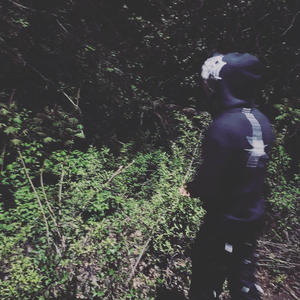 Daily Shenanigans (Explicit)