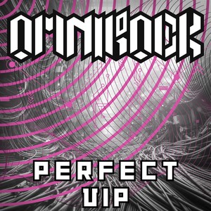 Perfect (VIP Mix)