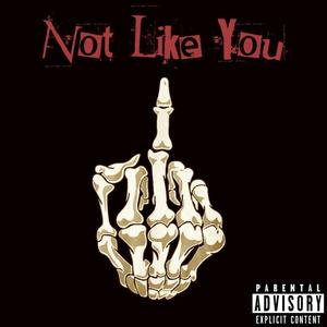 Not Like You (feat. Purgin 2x) [Explicit]