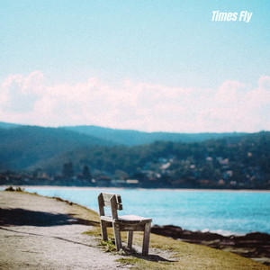 Times Fly