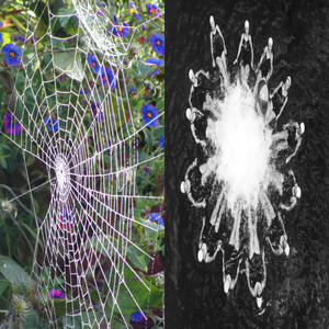 Blue Plastic (Explicit)