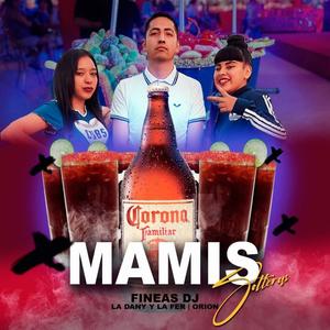 Mamis Solteras (feat. La Dany & La Fer) (Explicit)