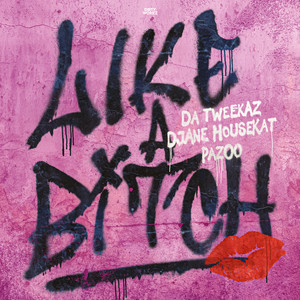 Like A ***** (Explicit)