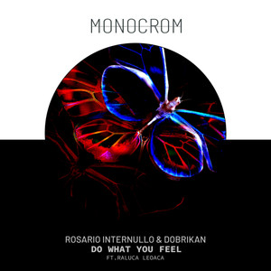 Do What You Feel(feat. Raluca Leoacă) (Original Mix)