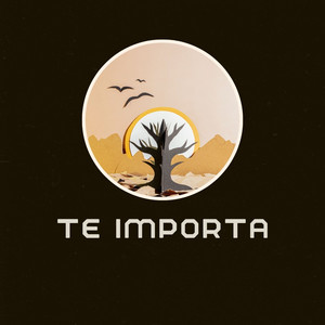 Te Importa
