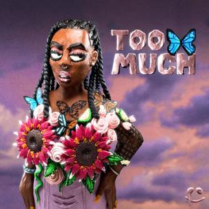 Too Much (Explicit)